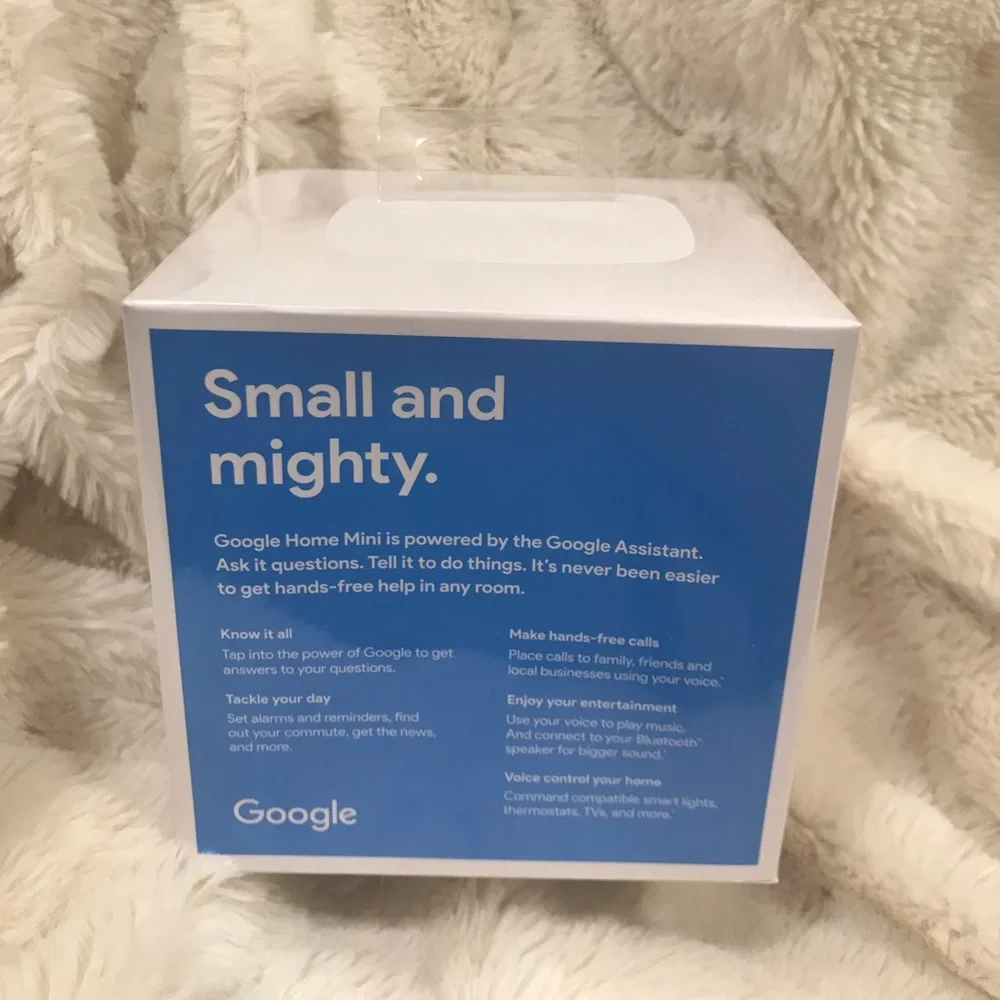 Google Home Mini Assistant